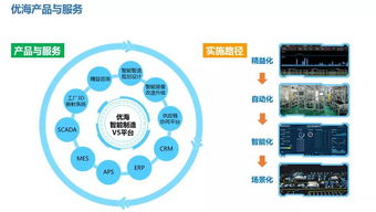 信息系統集成服務中APS實施的復雜性控制策略