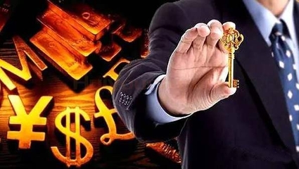 北京鴻晟興業(yè)信息咨詢服務有限責任公司 金融信息咨詢的專業(yè)服務